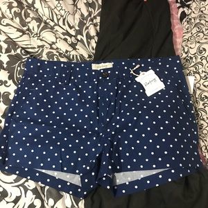 Polkadot shorts. Size 13. New with tags.